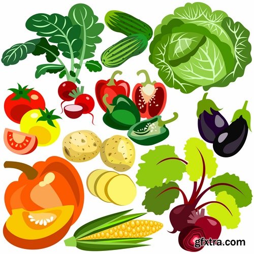 Collection of various food vector images 25 Eps