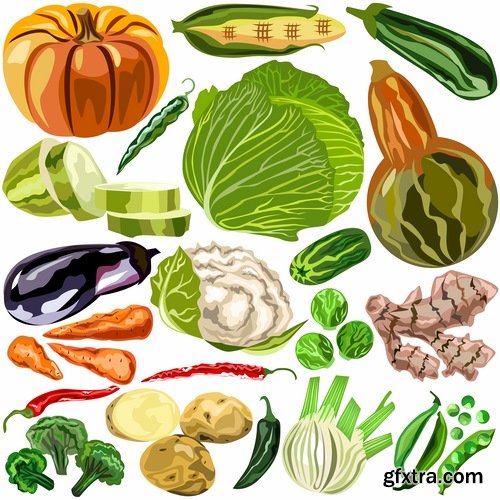 Collection of various food vector images 25 Eps