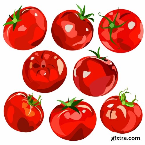 Collection of various food vector images 25 Eps