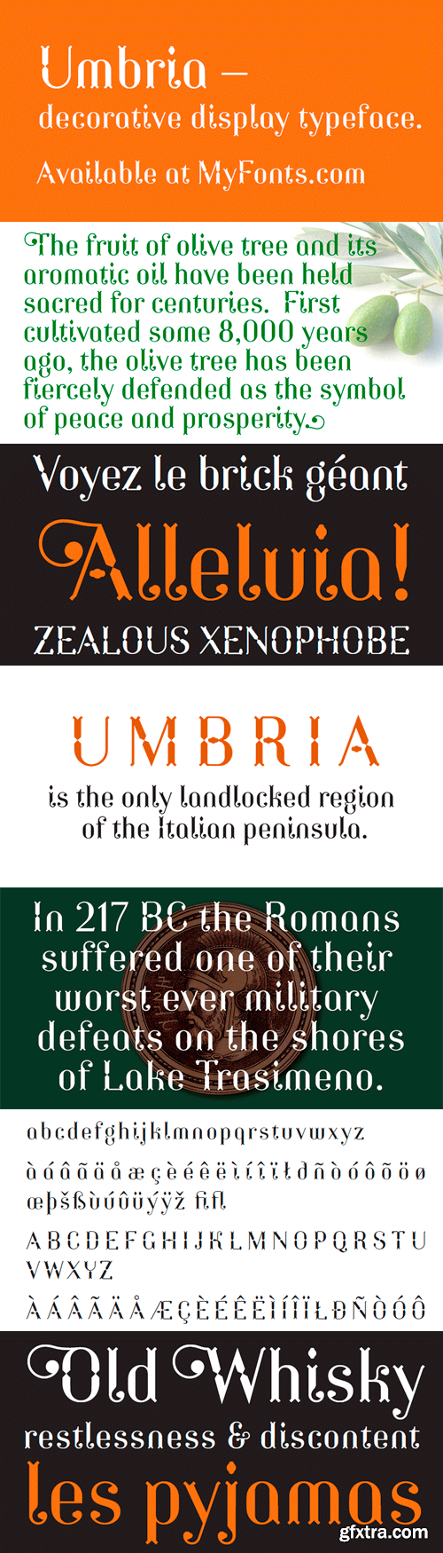 Umbria Font Family - 2 Fonts for $48