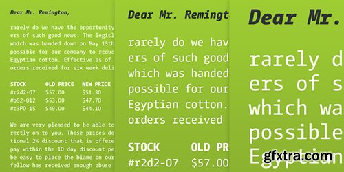 CamingoDos Office Font Family - 4 Fonts 576$