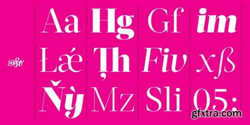 Acta Display Font Family - 11 Fonts for $295