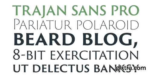 Trajan Sans Pro Font Family - 6 Fonts for $175