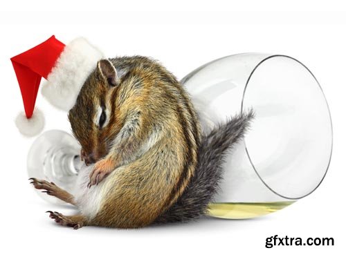 Stock Photos - Christmas. Funny Animals. 25xJPG