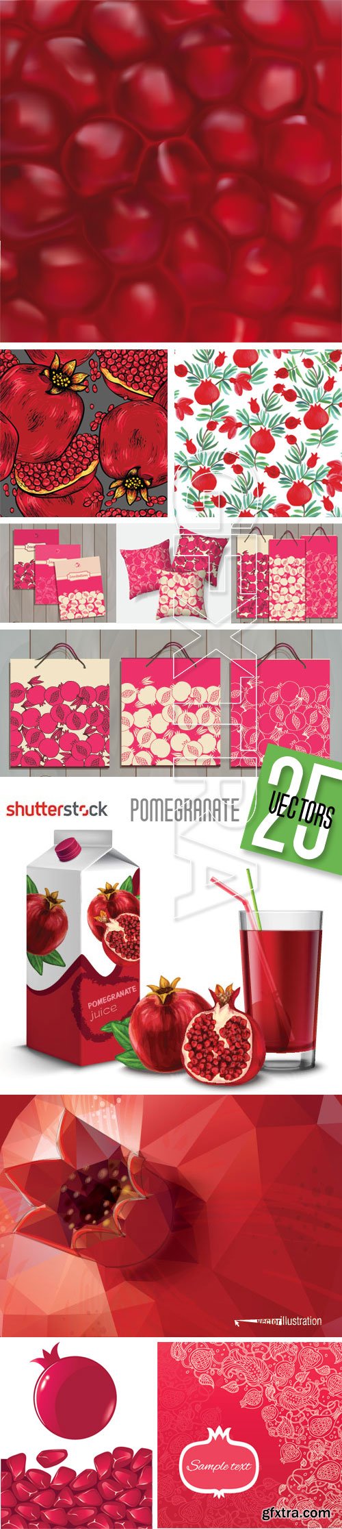 Pomegranate Vectors 25xEPS