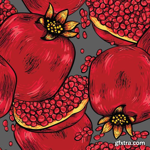 Pomegranate Vectors 25xEPS