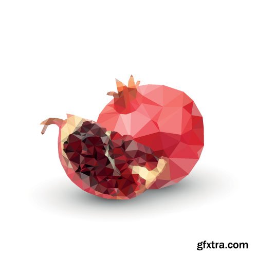 Pomegranate Vectors 25xEPS