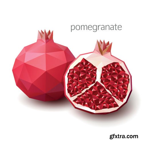 Pomegranate Vectors 25xEPS