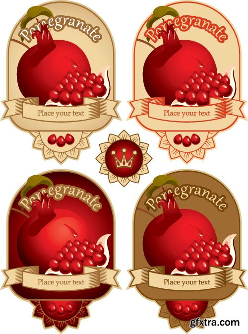 Pomegranate Vectors 25xEPS