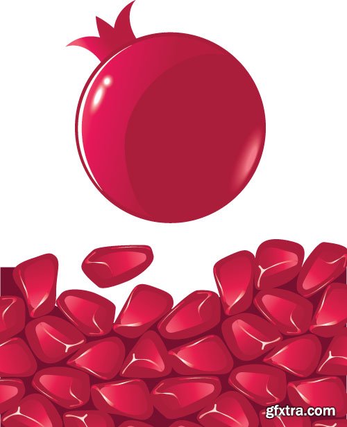 Pomegranate Vectors 25xEPS