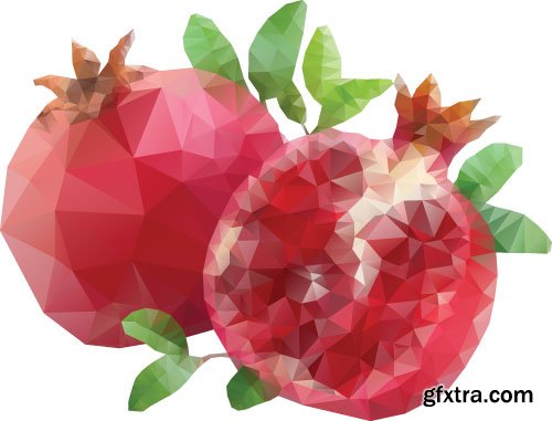 Pomegranate Vectors 25xEPS