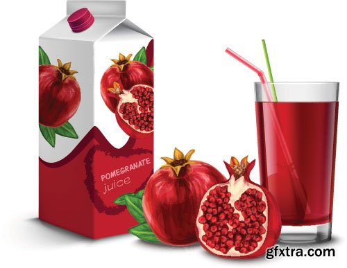 Pomegranate Vectors 25xEPS