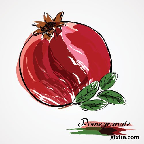 Pomegranate Vectors 25xEPS