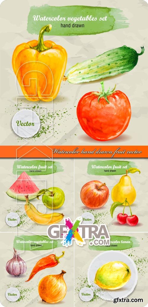 Watercolor hand drawn fruit and vegetable vector