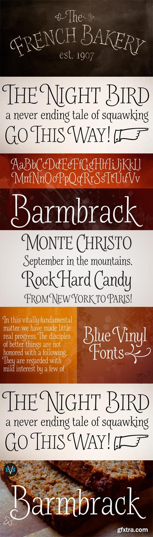 Barmbrack Font Family - 2 Fonts for $40