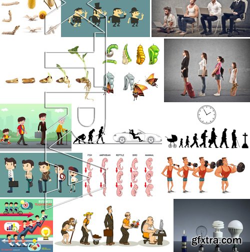 Stock Images - Evolution, 10xJPG, 15xEPS