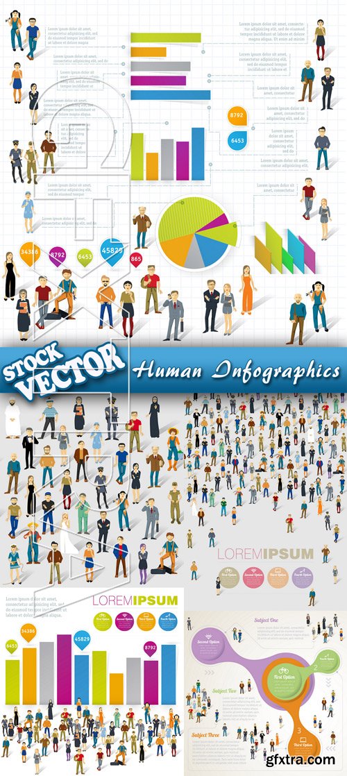 Stock Vector - Human Infographics