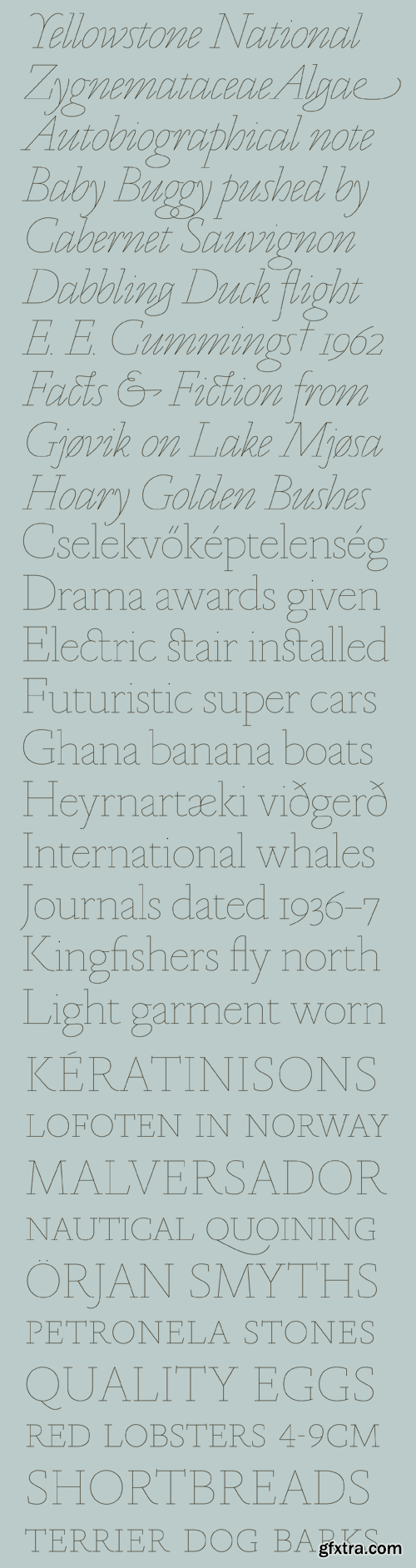 Marian Font Family - 18 Fonts for $600