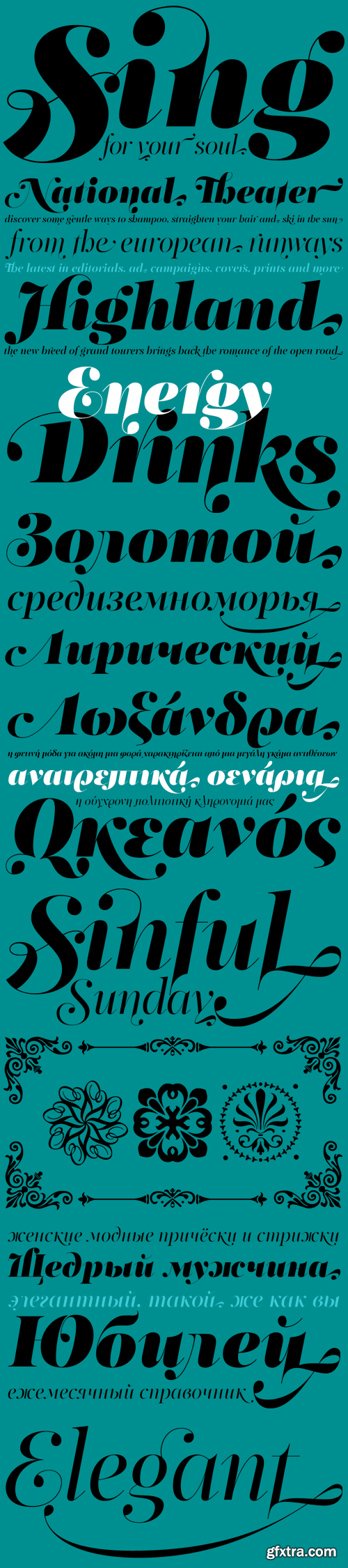 PF Regal Swash Pro Font Family - 6 Fonts for €375