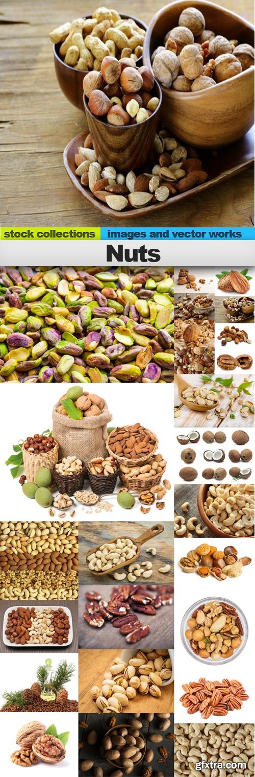 Nuts,25 x UHQ JPEG