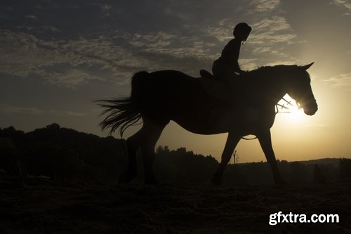 Collection of riders on horses 25 UHQ Jpeg