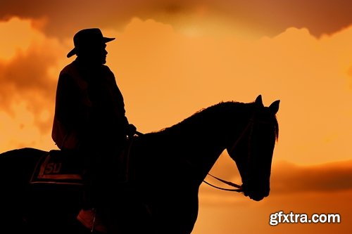 Collection of riders on horses 25 UHQ Jpeg