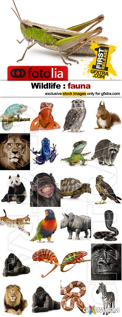 Wild Animals on White Backgrounds 25xJPG