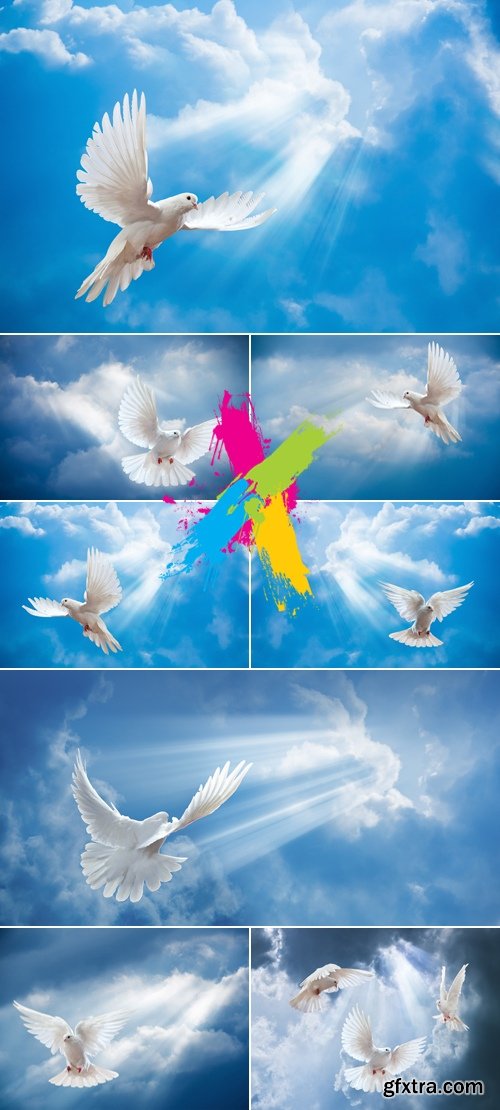 Stock Photo - Flying Doves & Sky