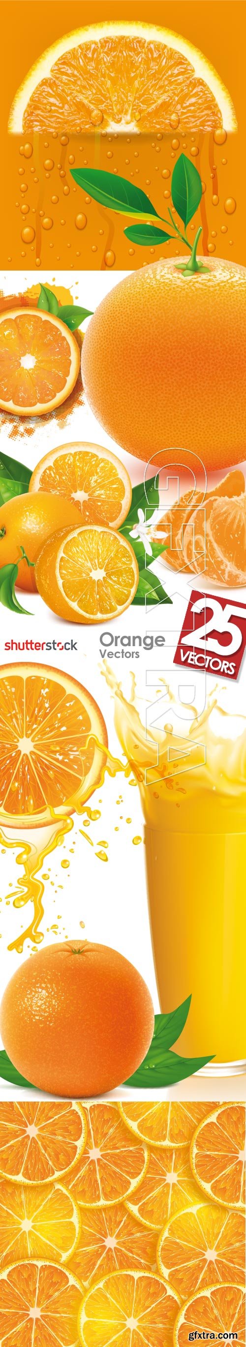 Orange Vectors 34xEPS