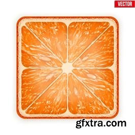 Orange Vectors 34xEPS