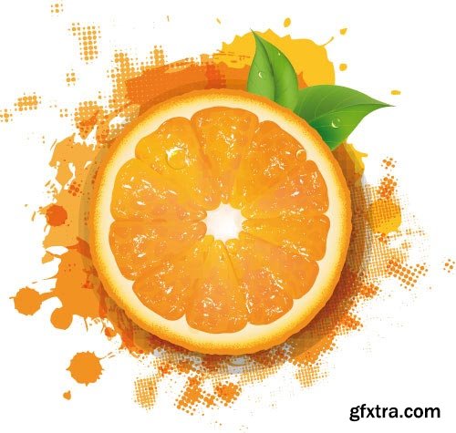 Orange Vectors 34xEPS