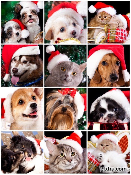 Stock Photos - Merry Christmas Style, 25xJPG