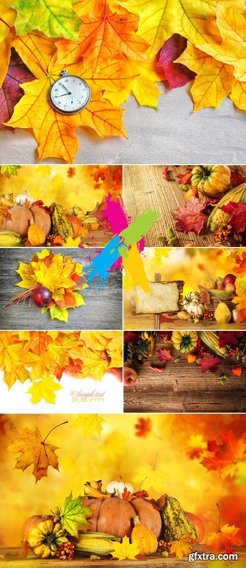 Stock Photo - Autumn Nature Backgrounds 3