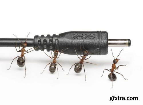 Ant Tales 2 - Conceptual Photo Art 25xJPG