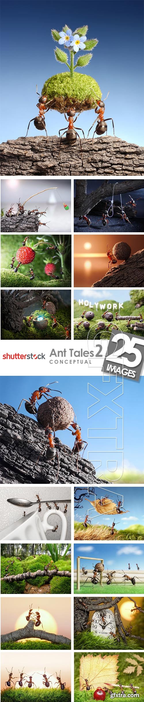 Ant Tales 2 - Conceptual Photo Art 25xJPG