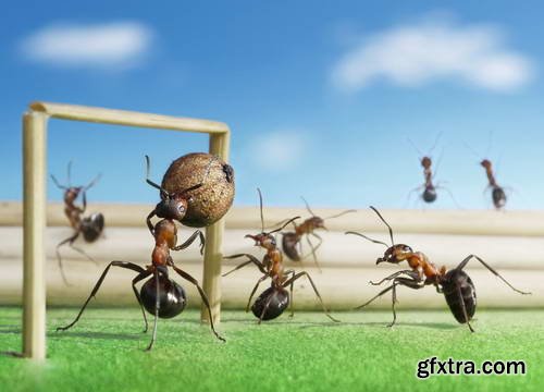 Ant Tales 2 - Conceptual Photo Art 25xJPG