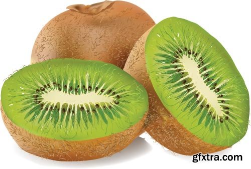 Kiwi Vectors 25xEPS