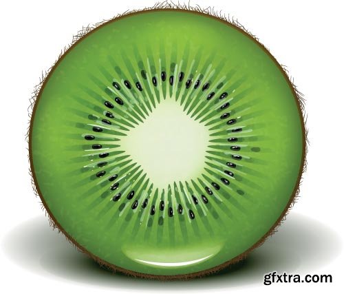 Kiwi Vectors 25xEPS