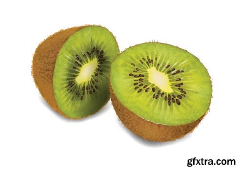 Kiwi Vectors 25xEPS