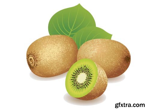 Kiwi Vectors 25xEPS