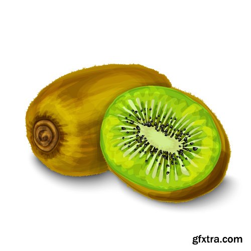 Kiwi Vectors 25xEPS