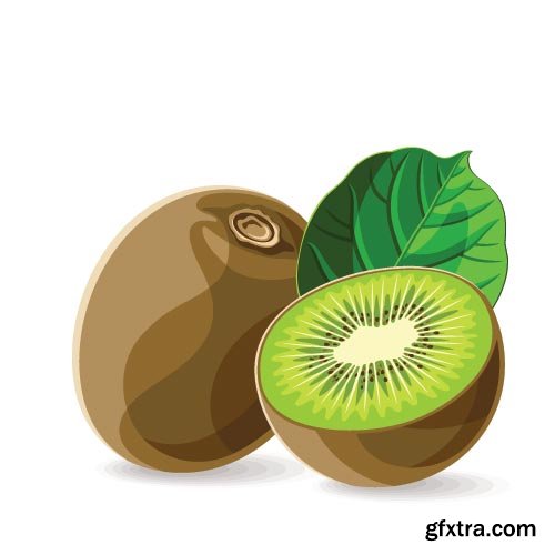 Kiwi Vectors 25xEPS