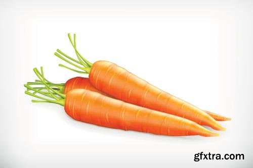 Carrot Vectors 25xEPS