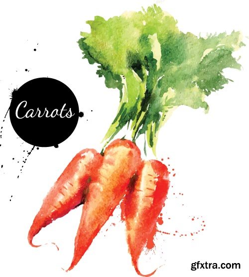 Carrot Vectors 25xEPS