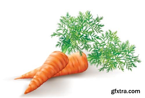 Carrot Vectors 25xEPS