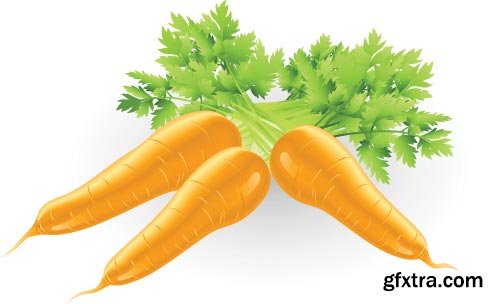 Carrot Vectors 25xEPS