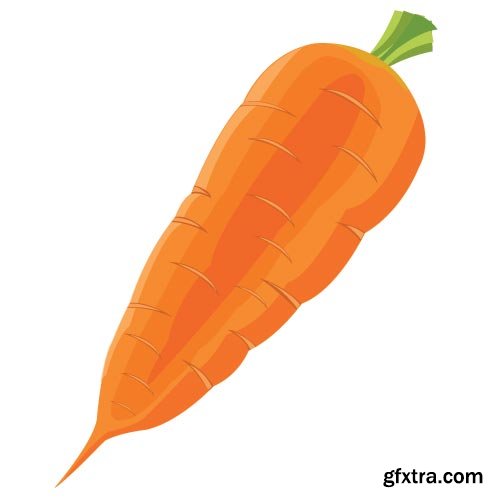 Carrot Vectors 25xEPS