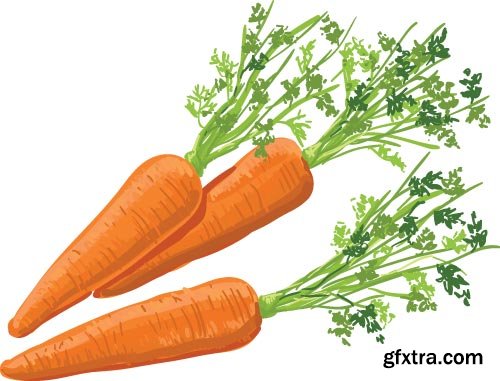 Carrot Vectors 25xEPS