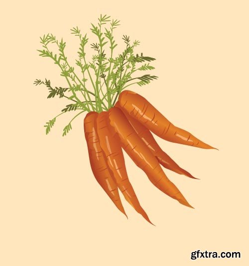 Carrot Vectors 25xEPS