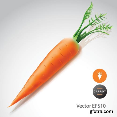 Carrot Vectors 25xEPS